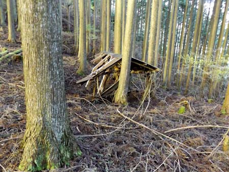 山中の通学路。その①