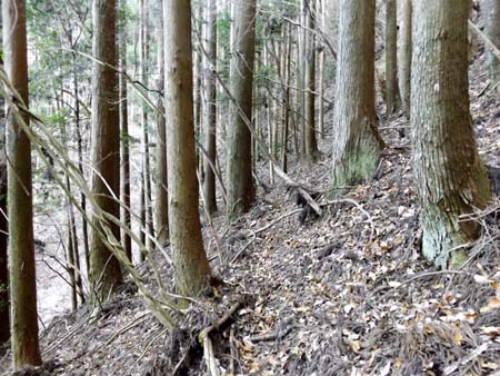 山中の通学路。その②