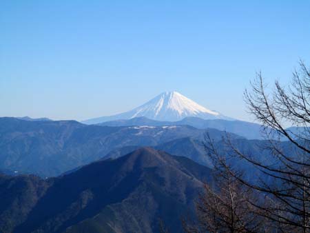 登り初めはノンビリ沢口山 15/01/08