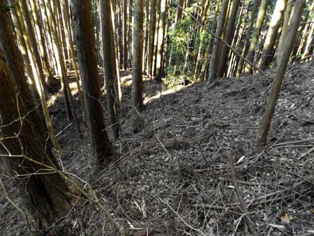 山中の通学路。その②