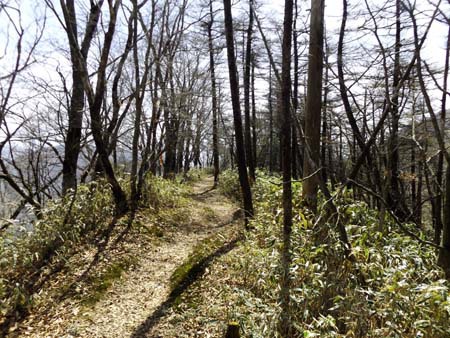 連休前に何とか山へ 十枚山 16/04/25