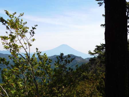 首痛。。。小河内山　18/5/21