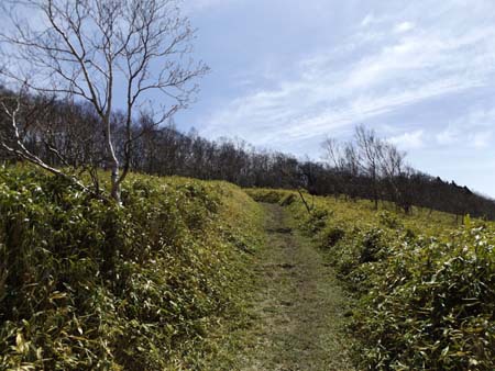 連休前に何とか山へ 十枚山 16/04/25