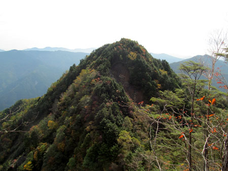 見ても登っても男前、大無間山 14/10/10