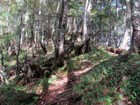 見ても登っても男前、大無間山 14/10/10