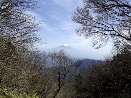 連休前に何とか山へ 十枚山 16/04/25