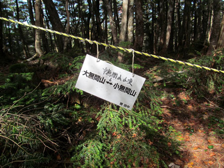 見ても登っても男前、大無間山 14/10/10