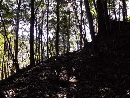 山中の通学路。その②