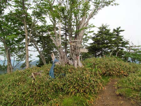 お蛭どきの丸盆周回宴会山行 15/06/10～11