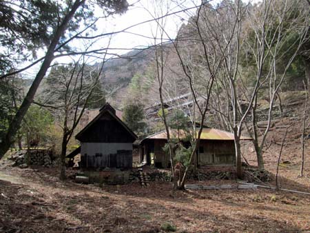 強風 雪舞う 京丸山 15/02/13