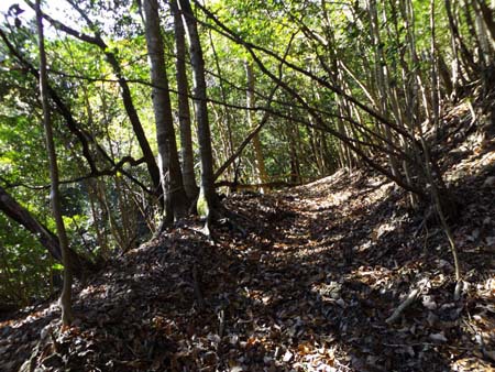 山中の通学路。その②