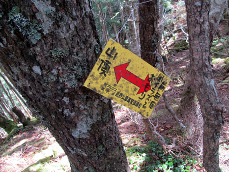 見ても登っても男前、大無間山 14/10/10