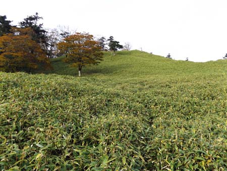 山犬段からバラ谷の頭＆黒法師岳 16/10/20～21