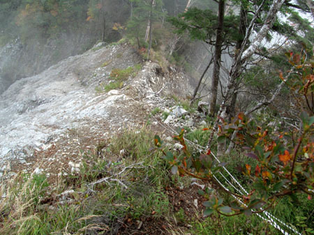 見ても登っても男前、大無間山 14/10/10