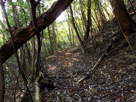 山中の通学路。その①