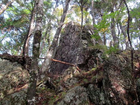 見ても登っても男前、大無間山 14/10/10