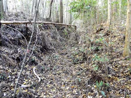 山中の通学路。その①