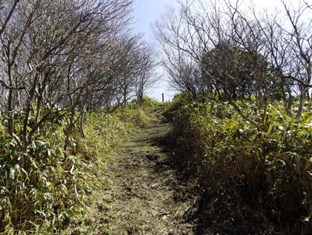 連休前に何とか山へ 十枚山 16/04/25