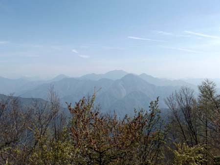 山犬段から板取、天水、沢口山 17/5/12