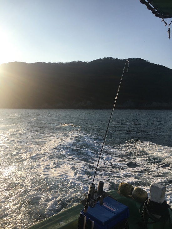 朝6時出船宇和海ジギング