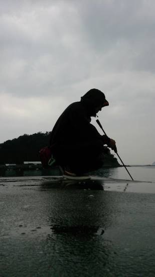 湾内アジング上向き傾向？その３
