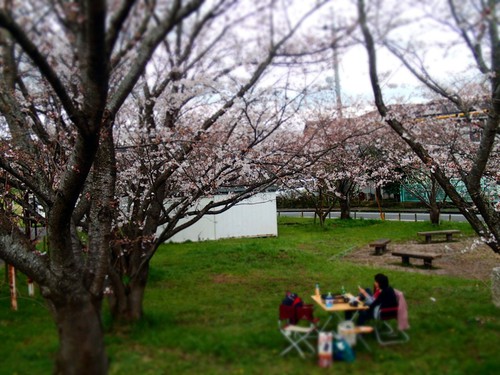OHANAMI♪