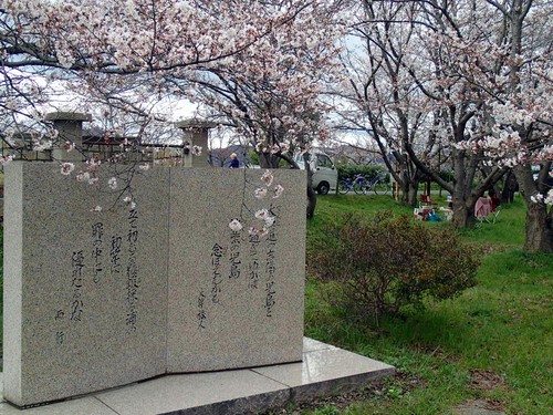 OHANAMI♪