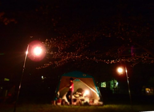 OHANAMI♪