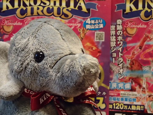 夢と感動をありがとう♪