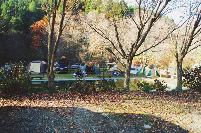 山鳥の森オートキャンプ場