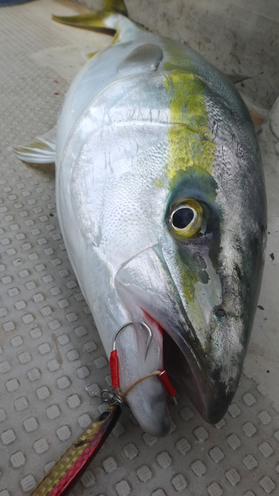 春の陽光を浴びながら