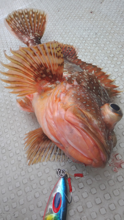 春の陽光を浴びながら