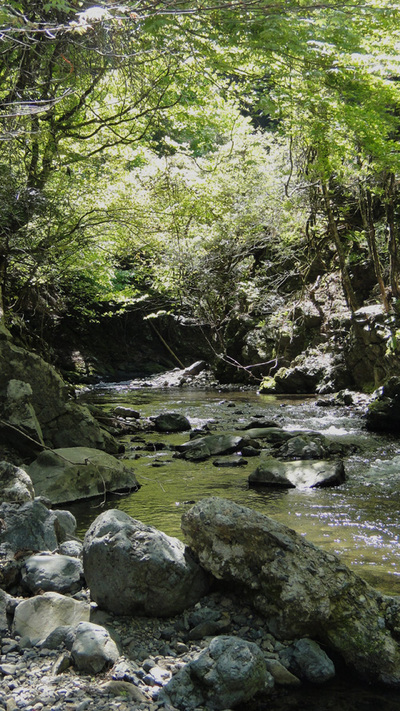 明鏡止水