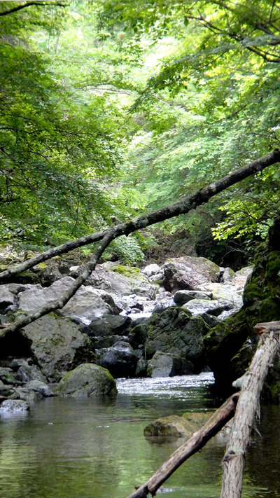 梅雨渓