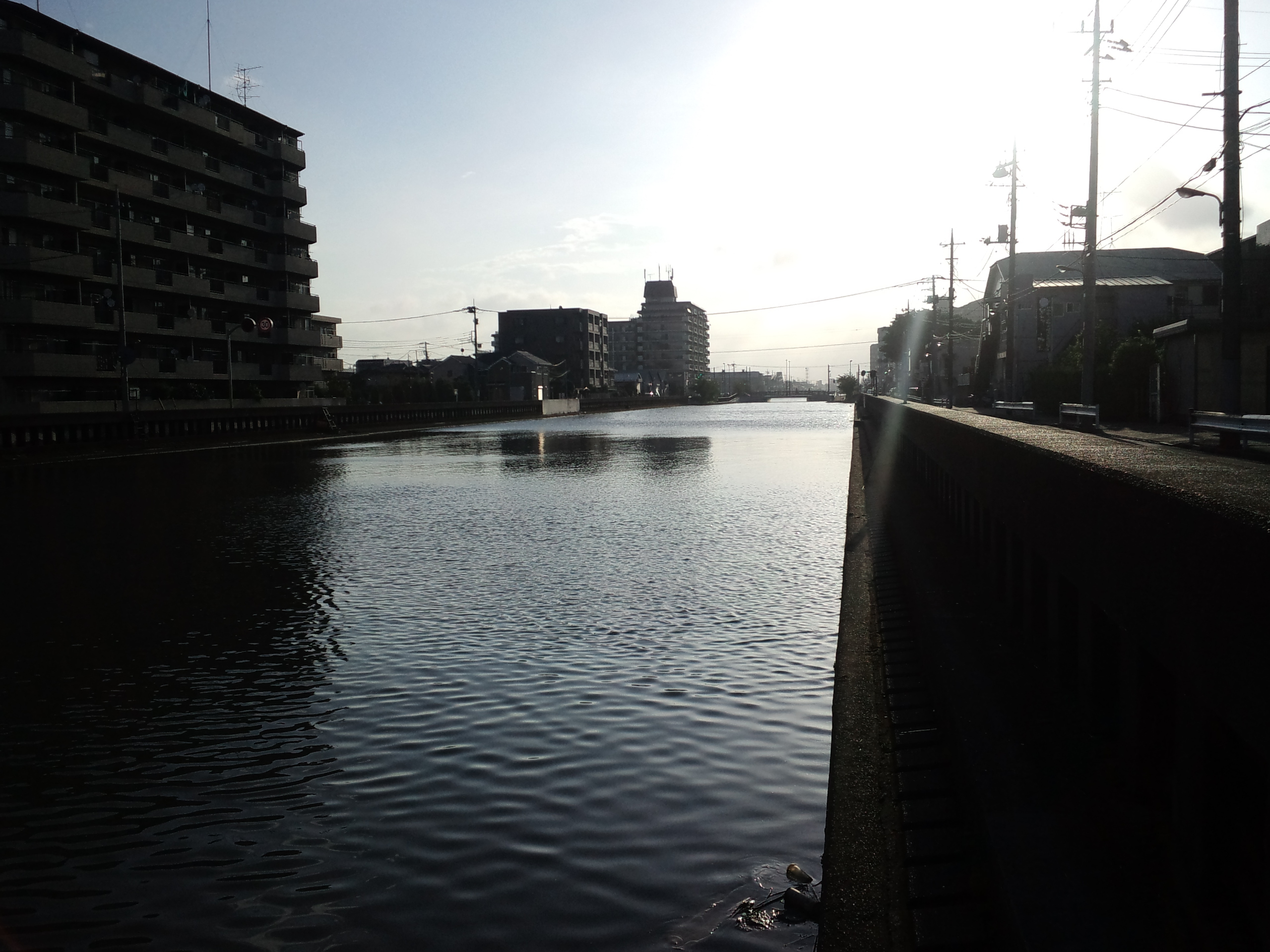 管釣り記録風呂愚 花畑運河午後の部