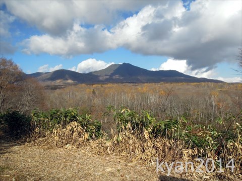 【レポ】ニセコ・サヒナキャンプ場