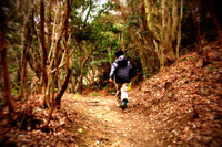 高塚山を散歩・黄砂と雨
