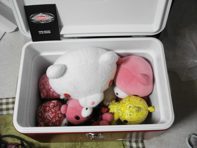 ポチッた物、公開～