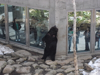 BEAR   mt.
