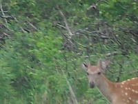 カヤック持ってかなやま湖