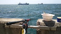 宣言・・・ 2013/05/19 21:55:29