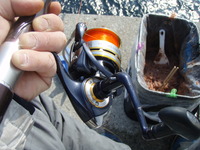 ランカー団扇 2012/04/03 07:43:13