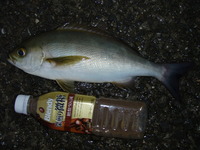 私も、間に合いました！ 2012/07/02 21:00:46