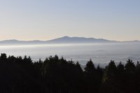 久しぶりに見た雲海