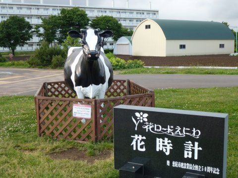 雨の中のお祭り