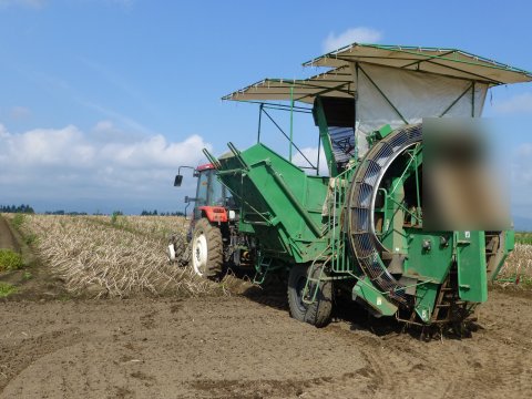 ROOTSで行く日本全国の旅:北海道でじゃがいも掘り♪