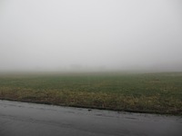 朝霧に行ってはみたものの。。