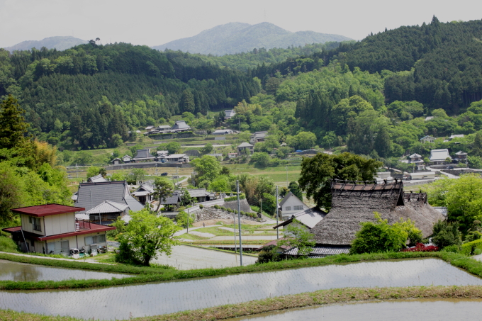 棚田オーナー