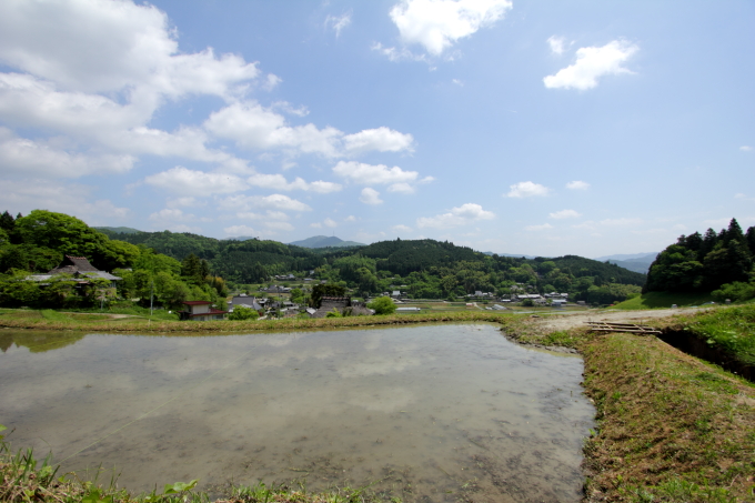 棚田オーナー