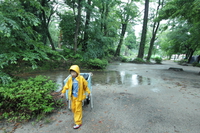 森の国　3日目　豪雨編